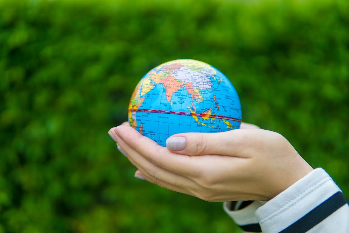 Sustainability in Business: How Inuio Supports Green Growth